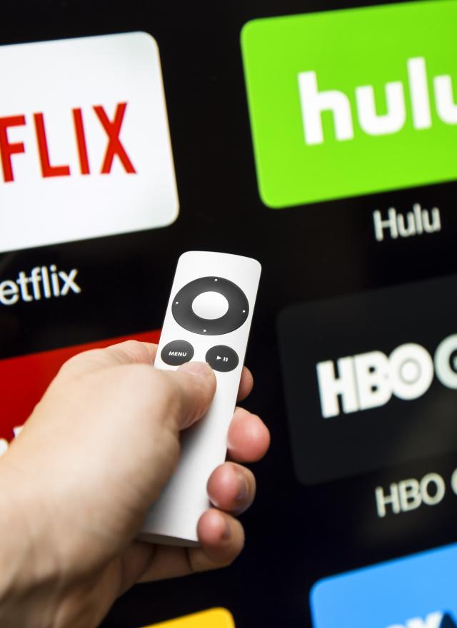 A faculty expert explains the Netflix model