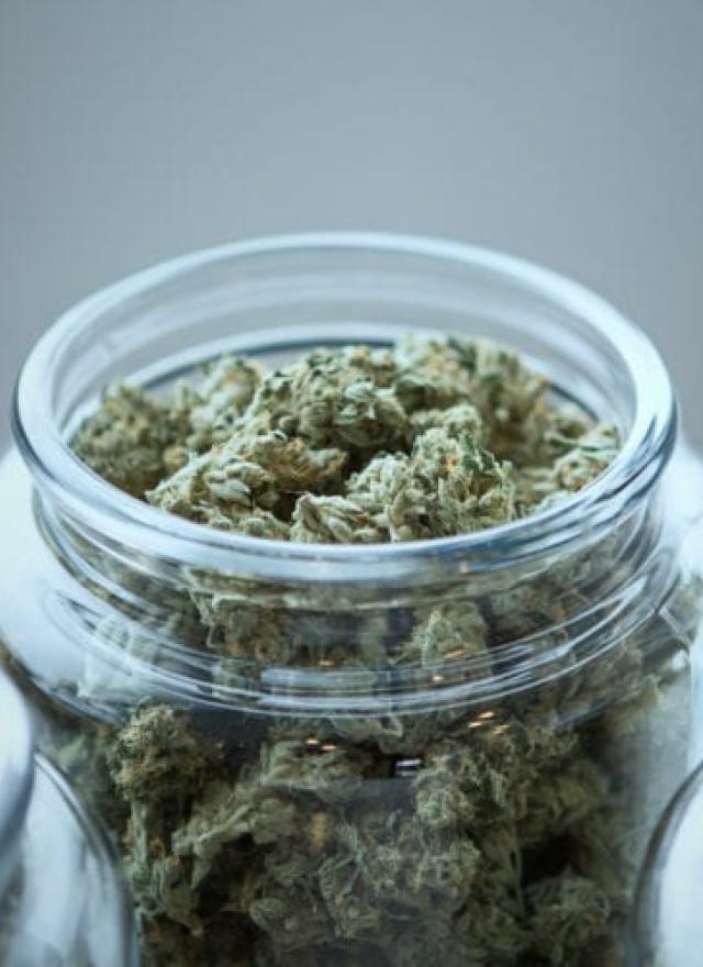 Cannabis in jars