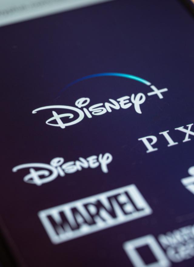 Disney+ Challenge to Netflix