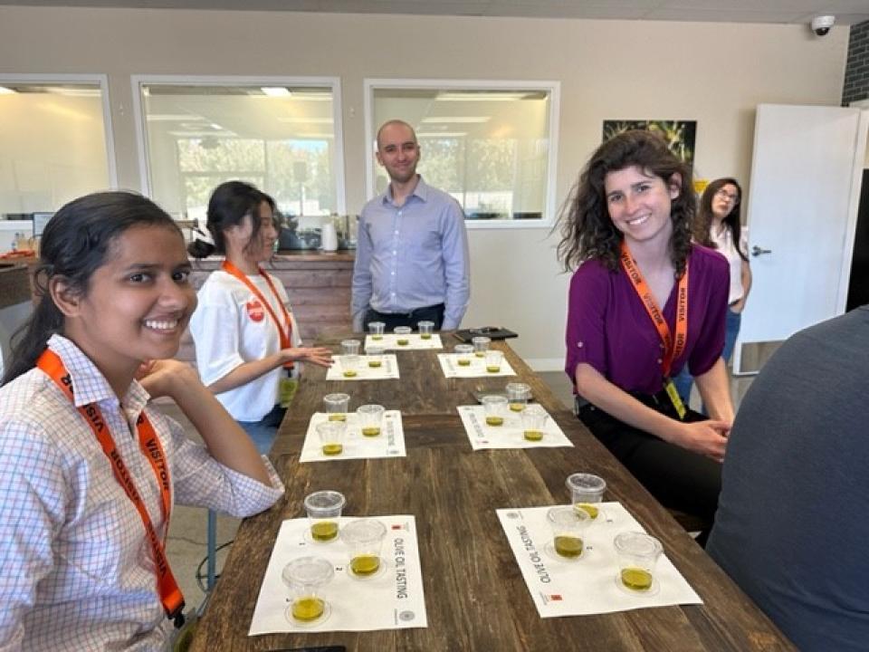 Olive oil tasting