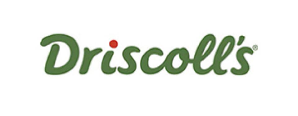 Driscolls logo