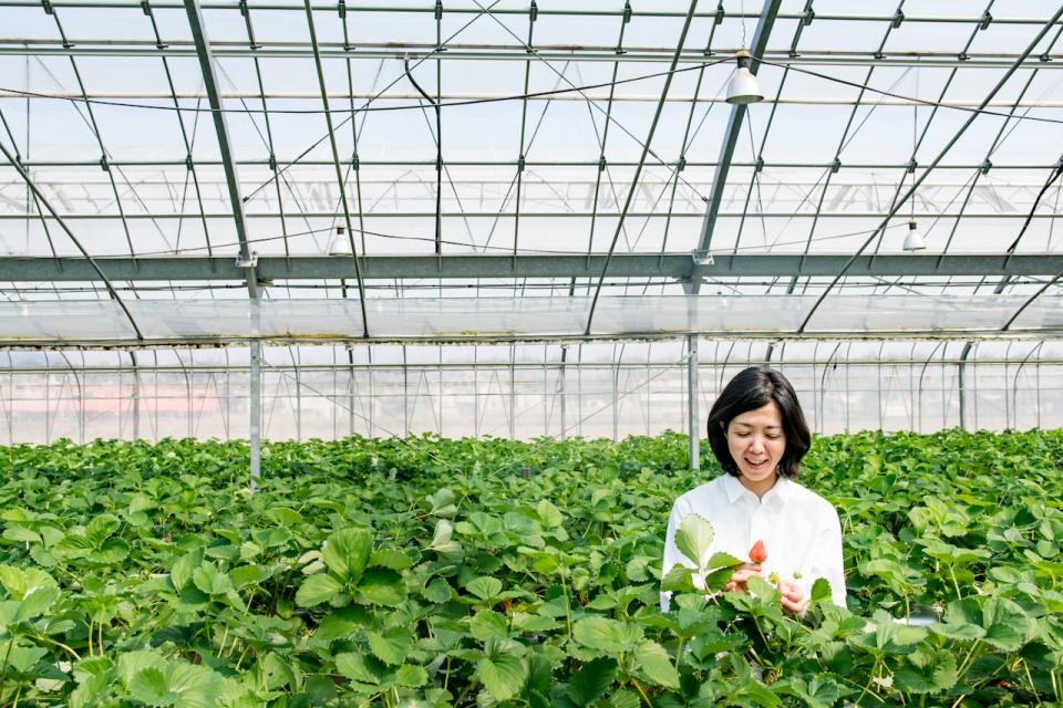 Student in greenhouse holding a strawberry